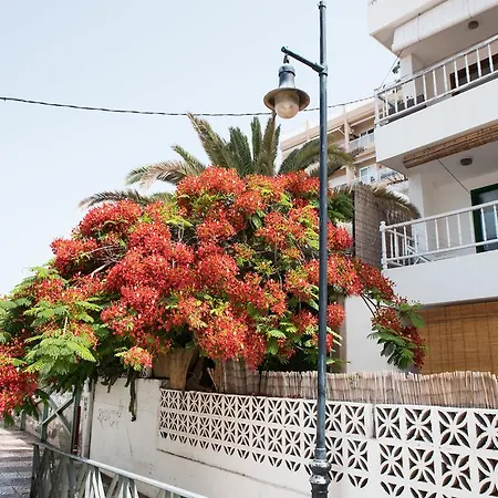Apartamento Casa Alejandro *