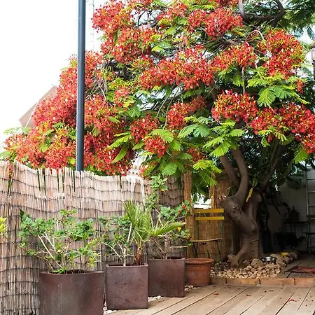 Apartamento Casa Alejandro