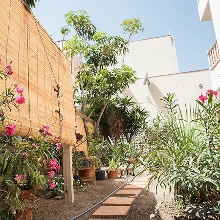 Casa Alejandro Lägenhet Los Cristianos (Tenerife)